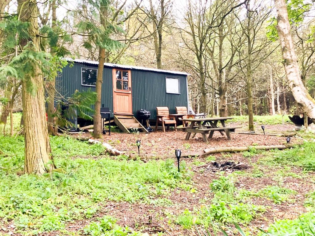 a green tiny house in the woods with a picnic table at North Norfolk Glamping in Holt