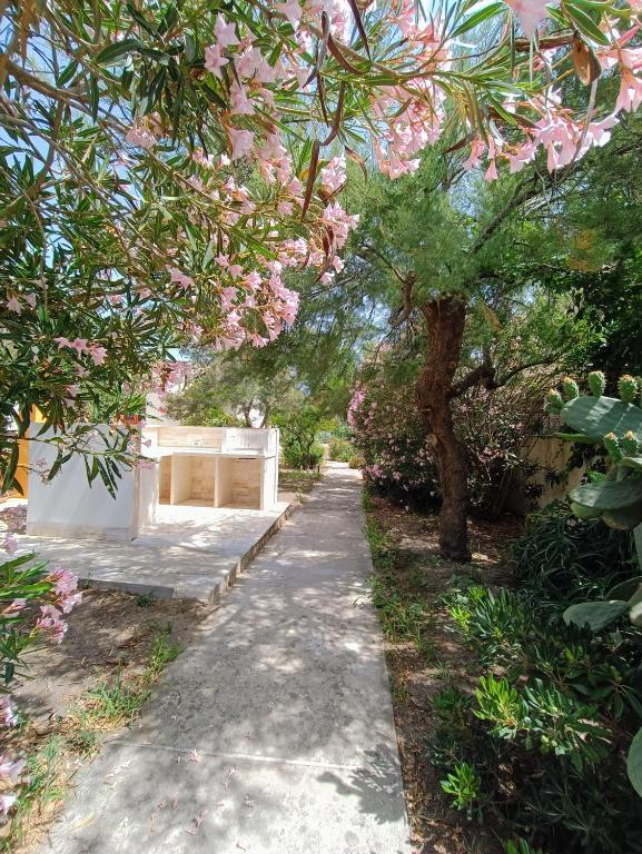 A garden outside Villa On The Beach Spiaggia Plaia