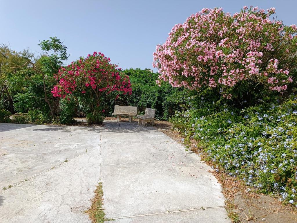 A garden outside Villa On The Beach Spiaggia Plaia
