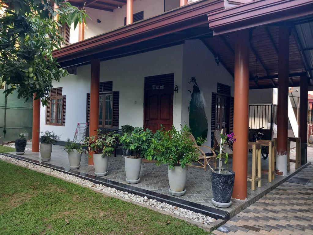 Zahrada ubytování Serendip Villa Holiday HomeTalalla Sri Lanka