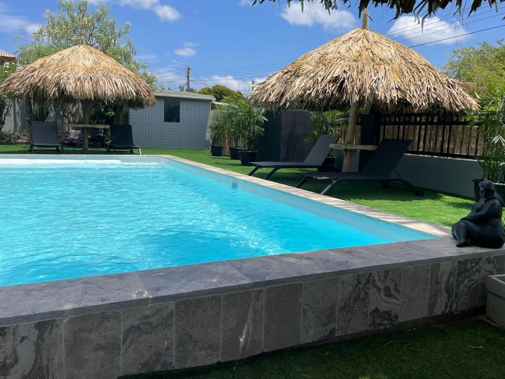 a large swimming pool with a stone retaining wall and a yard at Palmhouse Apartments Aruba 1- 4 persons in Savaneta