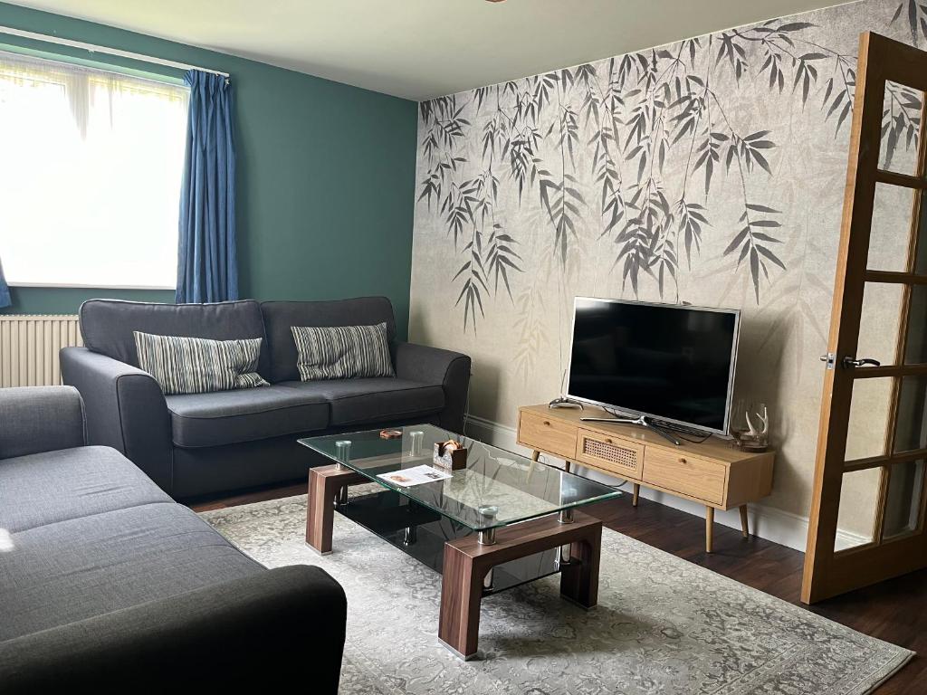un soggiorno con divano e TV a schermo piatto di Comfortable Two Bedroom Modern Apartment a Londra