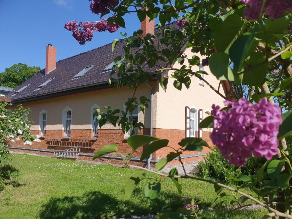 Geräumiges und liebevoll eingerichtetes Ferienhaus für bis zu zehn Personen mit Terrasse und Grill im Garten - Housity