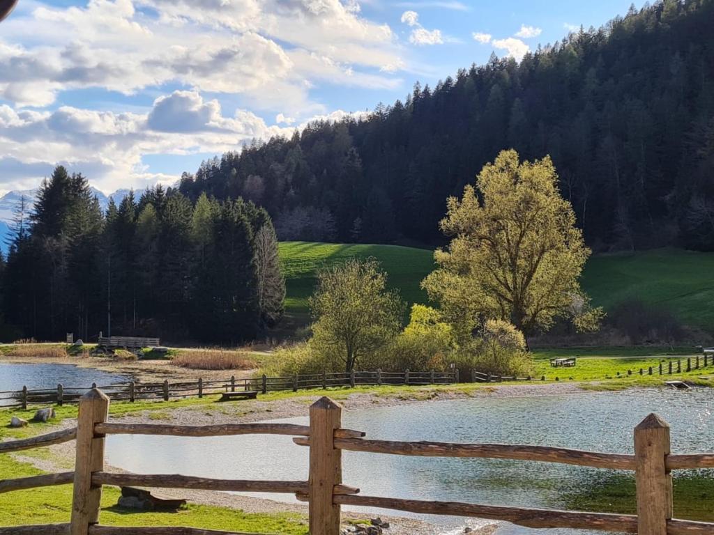 Příroda nedaleko hostelu
