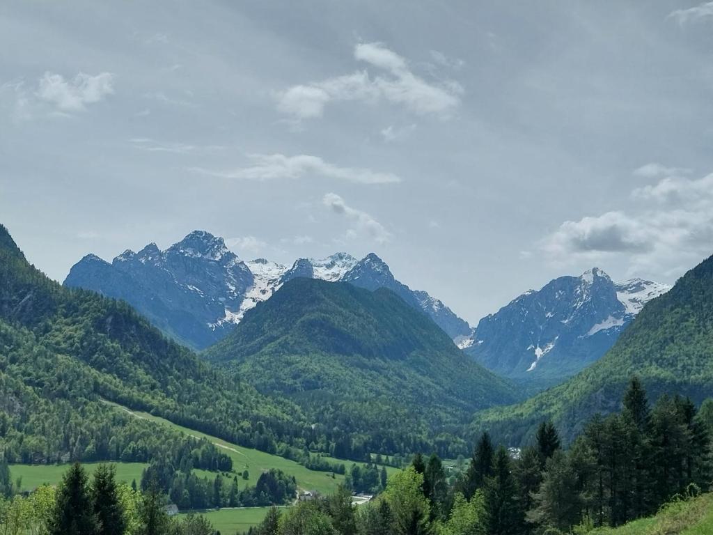 Příroda nedaleko apartmánu