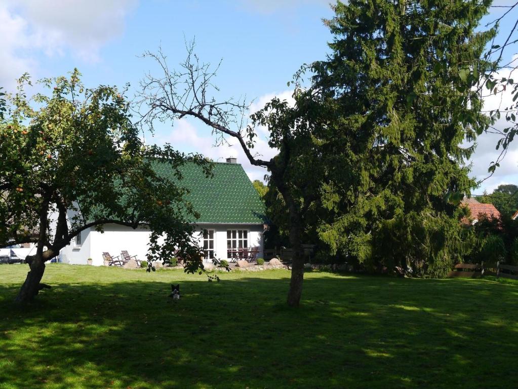 Haus Himmelgrau mit eigenem Garten, Putbus (precios actualizados 2024)