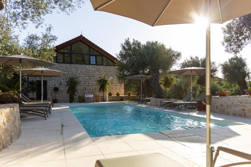 烏爾齊尼的住宿－MASHTRA - The Olive House，一个带遮阳伞的游泳池和一个房子