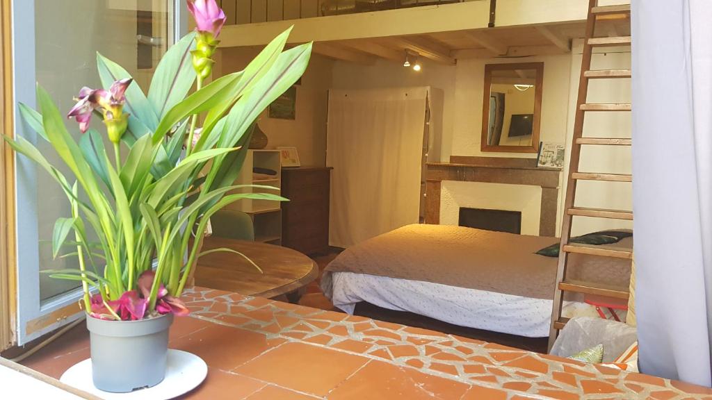 - une chambre avec un lit et une plante en pot sur une table dans l'établissement Le Verdini, à Carcassonne