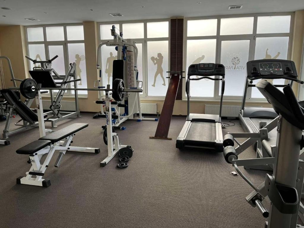 Fitness centrum a/nebo fitness zařízení v ubytování VitaPark Poliana