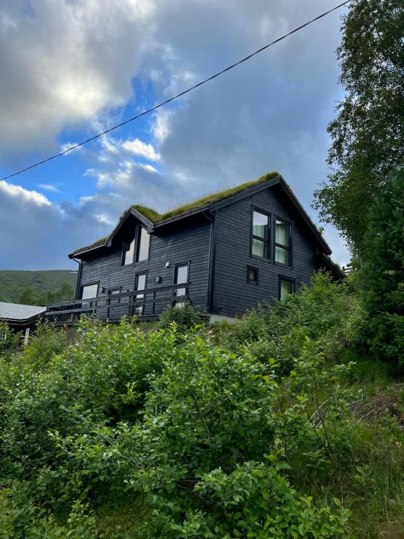 斯特蘭達的住宿－Strandafjellet - Akslene 6，山顶上的黑色房子