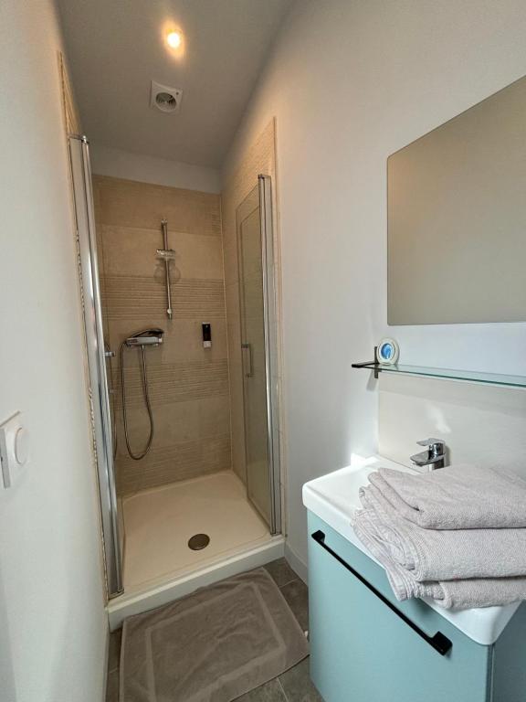 W łazience znajduje się prysznic ze szklanymi drzwiami. w obiekcie Chez Oma I 1 appartement indépendant OPI I 3 chambres privatives avec salle d eau et salon commun cuisine commune WC commun patio commun w Awinionie