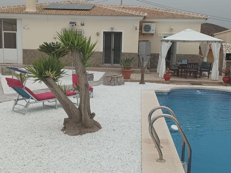ein Pool mit zwei Palmen neben einem Haus in der Unterkunft Villa Paz - Villa Familiar para 6 con piscina, AC, Wifi y parking in Arboleas