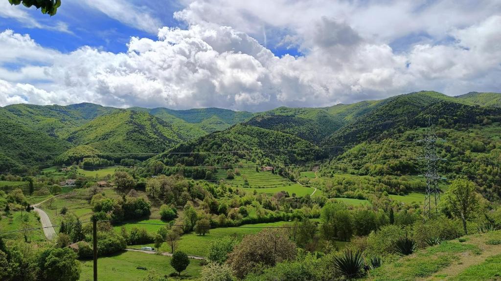 vistas a un valle de montaña con colinas verdes en Allotjaments rurals Can Punti, en Vallfogona de Ripollès