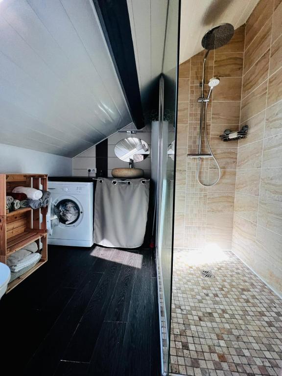 une salle de bain avec douche et machine à laver dans l'établissement Appartement cosy à CAPBRETON, la plage à pied, à Capbreton