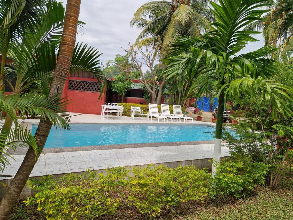 uma piscina com cadeiras brancas e palmeiras em Bungalow chez Mouch Nosy-Be 3 em Nosy-Be