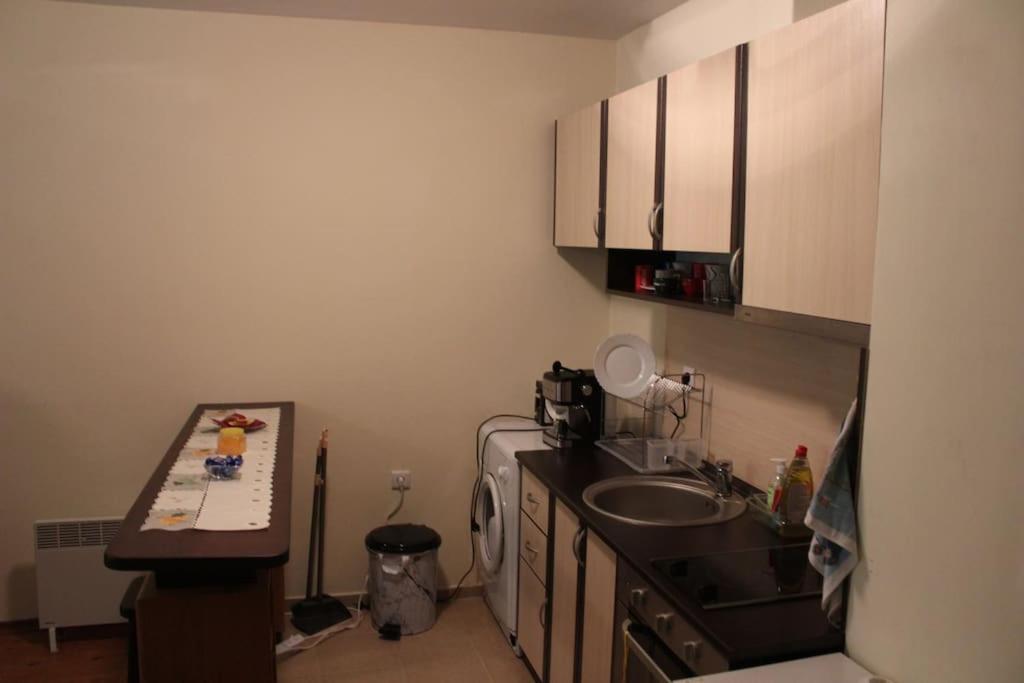Kuchyň nebo kuchyňský kout v ubytování Apartment Atanasov - Pamporovo