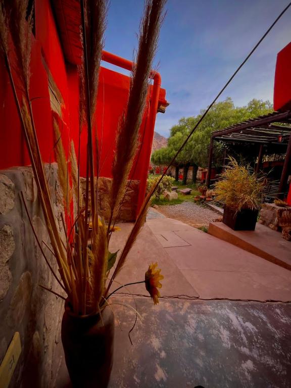 Posada Con Los Ángeles