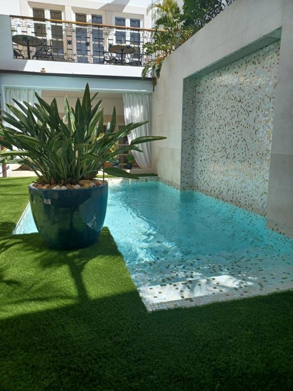 una maceta sentada junto a una piscina en Villa Zawaia B&B, en Lagos