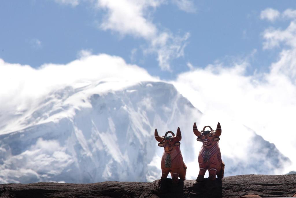 two animals standing on a rock with a mountain in the background at Cuesta Serena Boutique Hotel in Huaraz