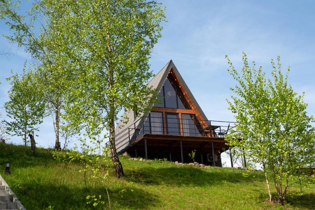una casa en la cima de una colina con árboles en Dobrede - будиночки під лісом, en Dubrinich na Beregu