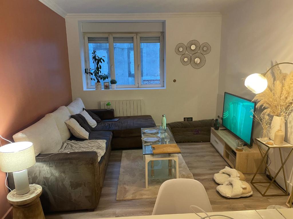 un salon avec un canapé et une télévision dans l'établissement Magnifique appartement Brest, à Brest