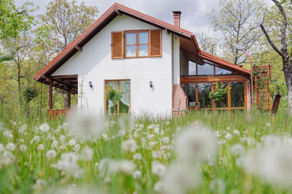 a house in the middle of a field of flowers at Cerdacul din Livada in Vaideeni