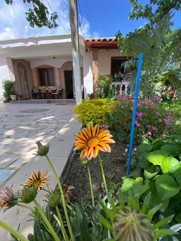 Zahrada ubytování Kristel Holiday Home