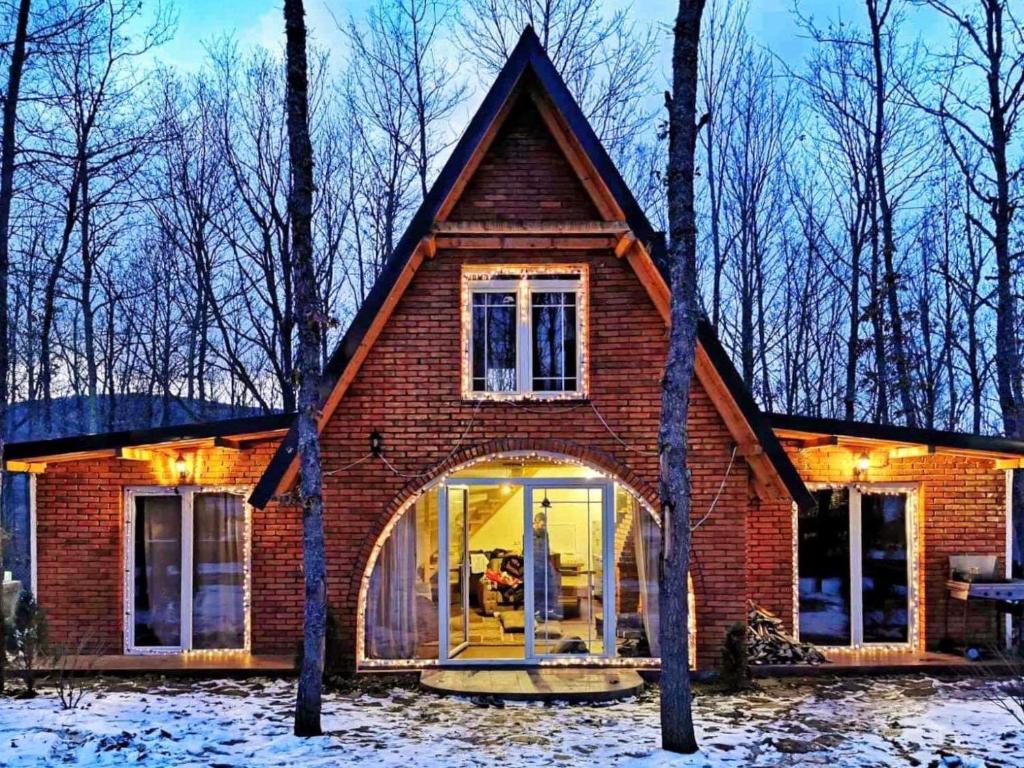 STANET Forest Houses v zimě
