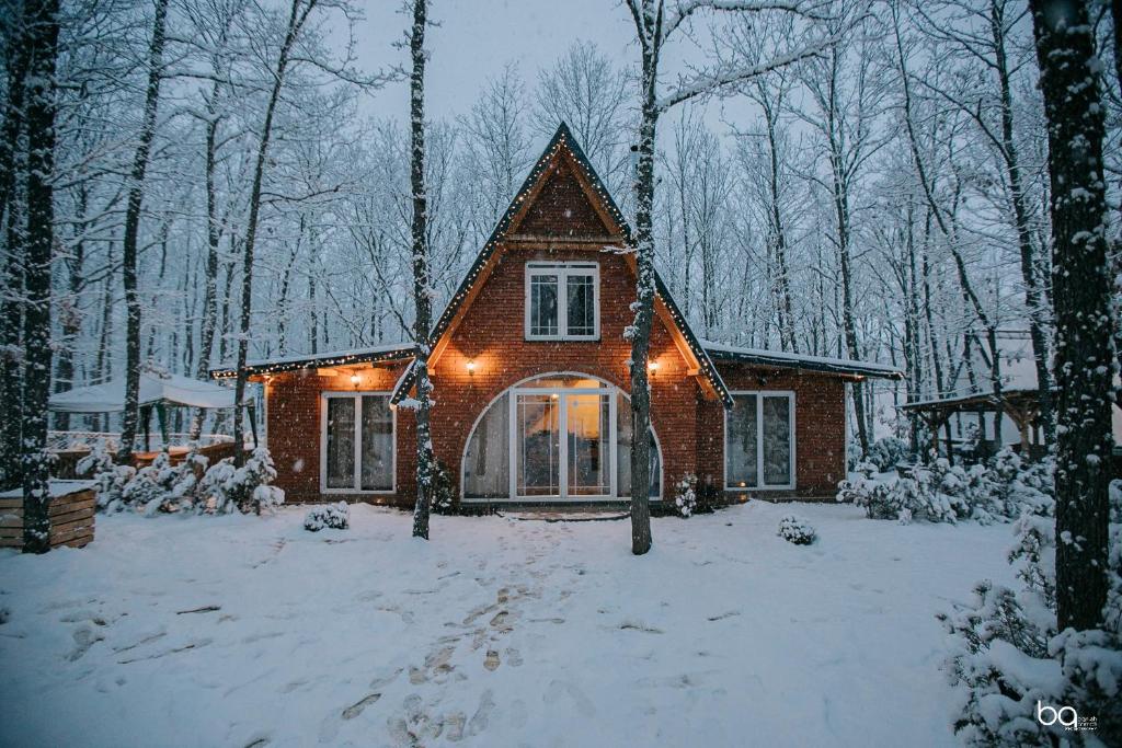 STANET Forest Houses v zimě