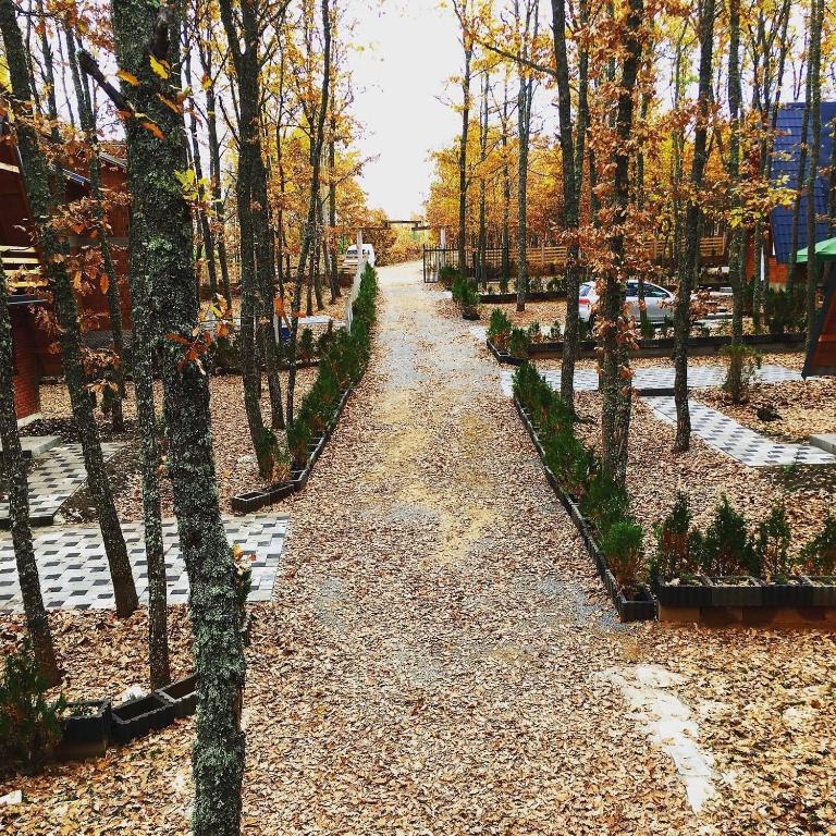 Fotografie z fotogalerie ubytování STANET Forest Houses v destinaci Novoberdo