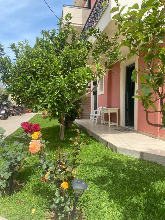 A garden outside lividio apartment
