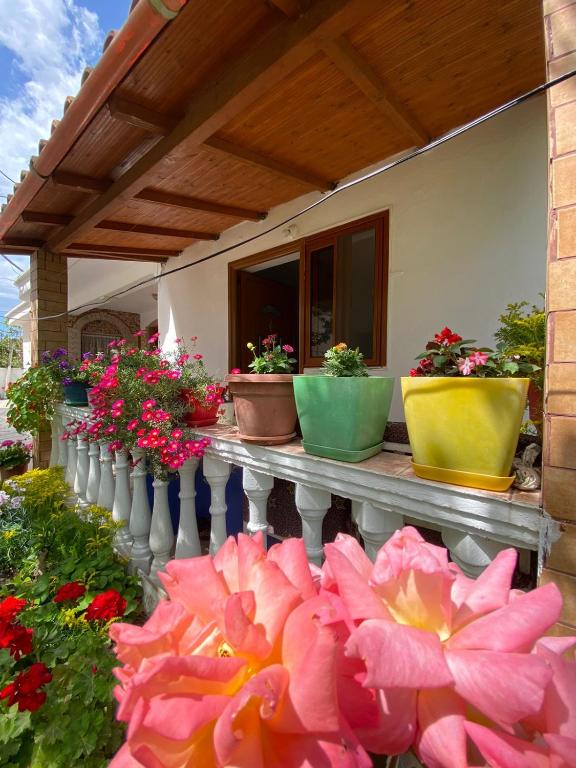 Zahrada ubytování Kristel Holiday Home