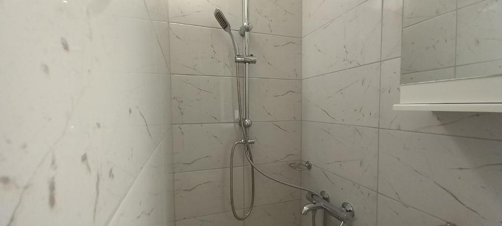 La salle de bains est pourvue d'une douche avec un pommeau de douche. dans l'établissement Central Ana Apartment Novi Sad, à Novi Sad