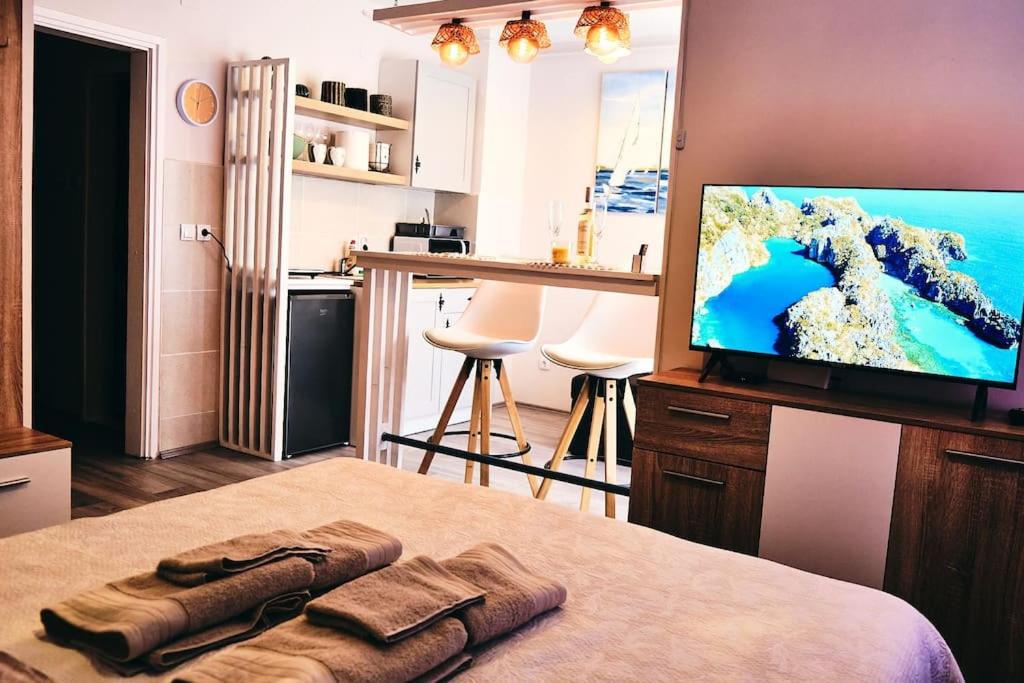 TV a/nebo společenská místnost v ubytování Lenny's Apartment