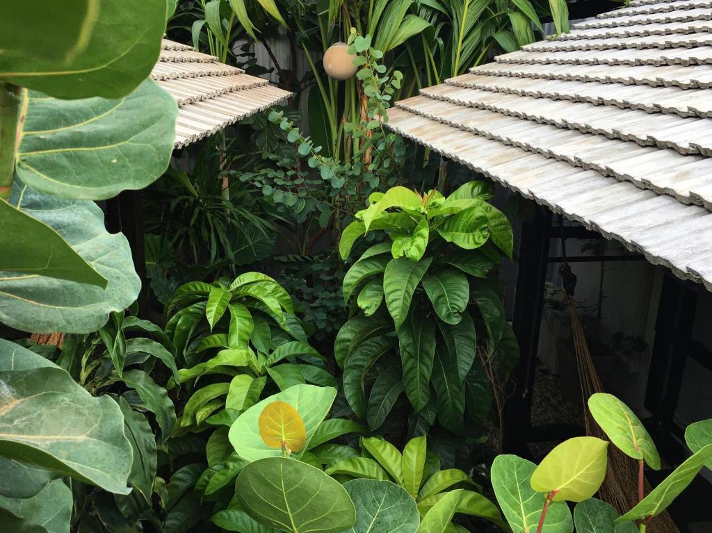 Su Kho Rom always home ศุโขรมย์ - Adults Only - 4