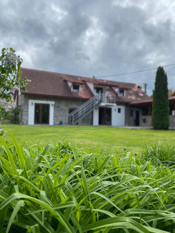 a house with a green hedge in front of it at Casa de Piatra in Porumbacu de Sus