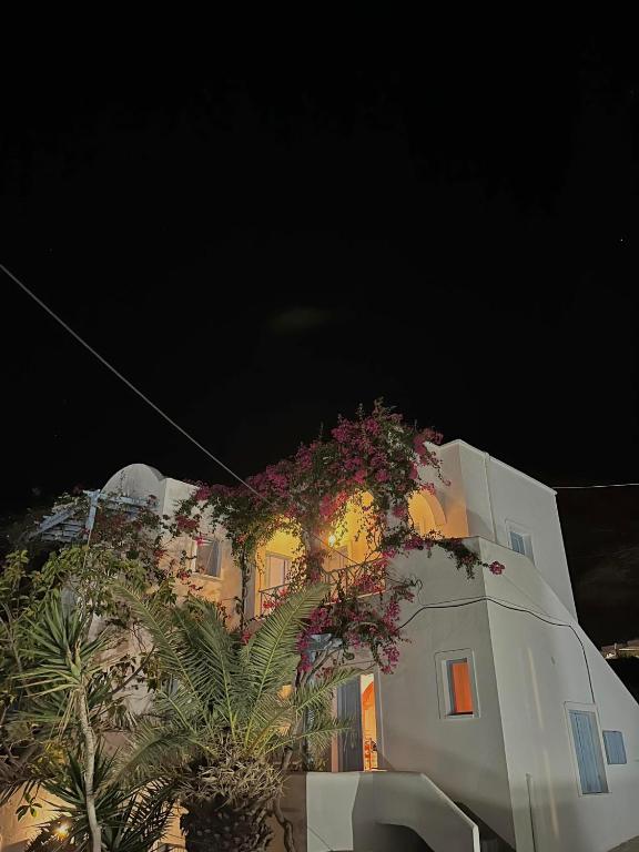 a building with flowers on the side of it at night at Vocamvilia Apartments in Kamari