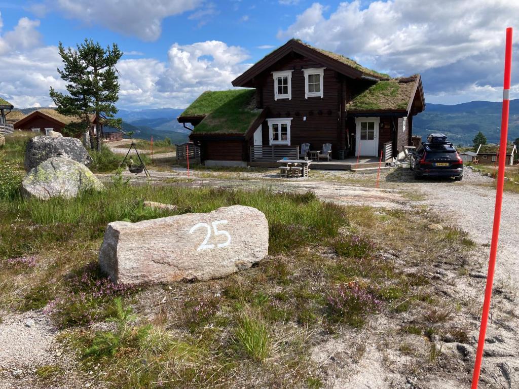 a house with a grass roof with a rock at Vrådal Panorama in Sinnes