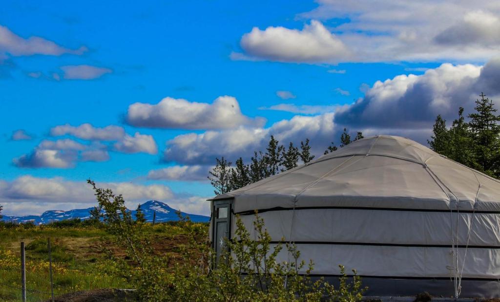 Příroda nedaleko luxury tent