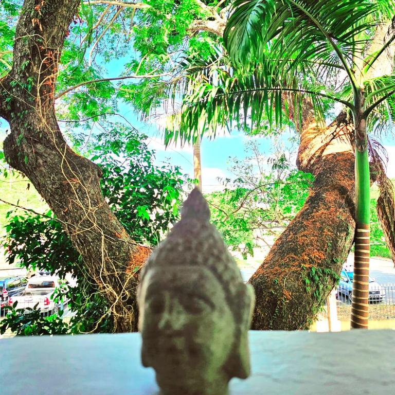 The Zen Den, PortofSpain (updated prices 2024)