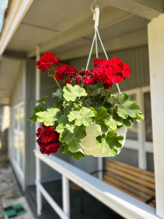 Balkón nebo terasa v ubytování Leśna Przystań