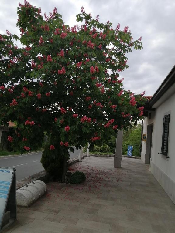 un arbre avec des fleurs roses dans une rue dans l'établissement Boooo, à Deskle