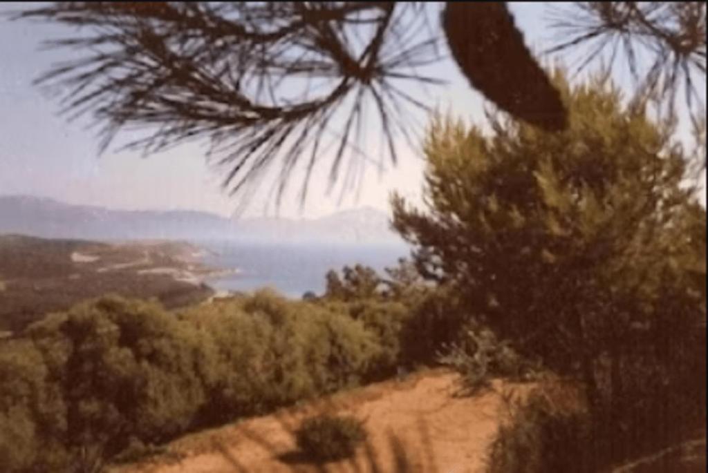 une peinture d'une colline avec des arbres et un lac dans l'établissement Villa vieux rose avec accès piscine, à Cargèse