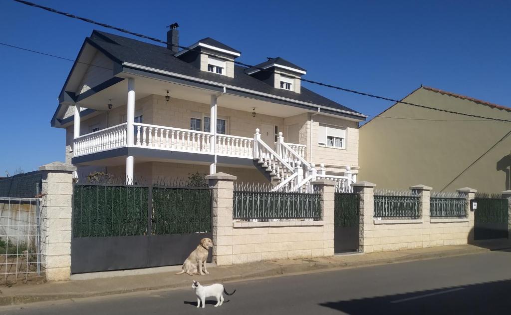 um cão e um gato em pé em frente a uma casa em Miradoralaribera Chalet rural em Alcoba de la Ribera