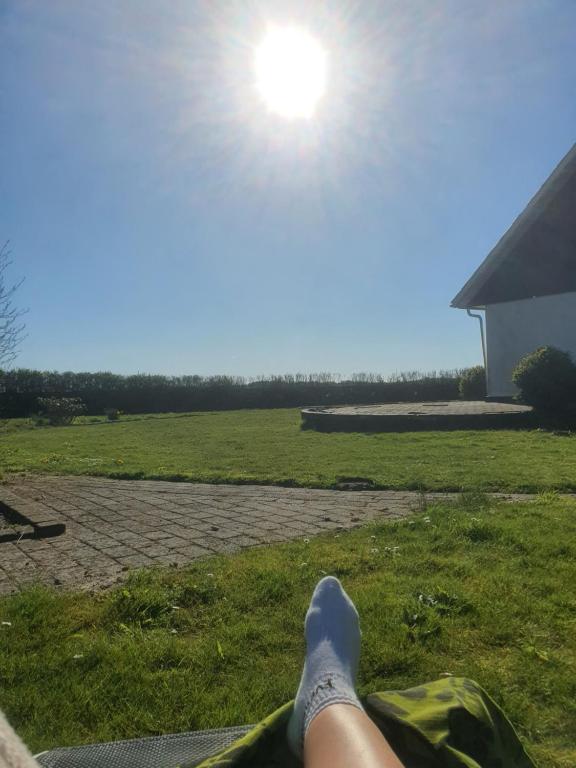 Zahrada ubytování ARTEMIS ZENSHA B&B