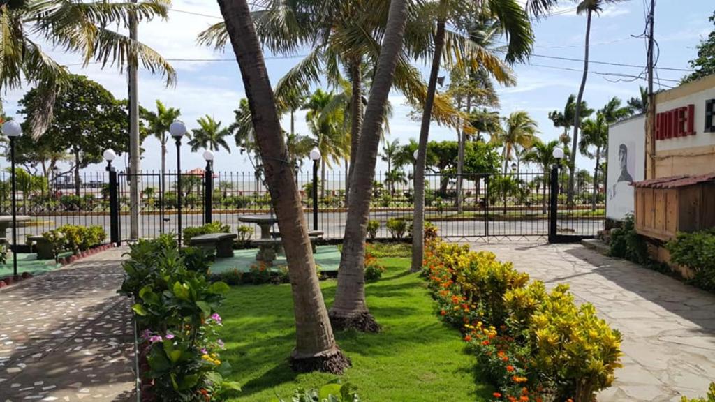 a park with palm trees and flowers at Hotel El Maltese in Granada