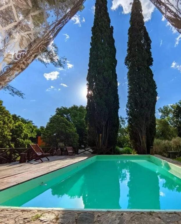 a pool in front of two tall trees at Cabañas spa el petrel in San Javier