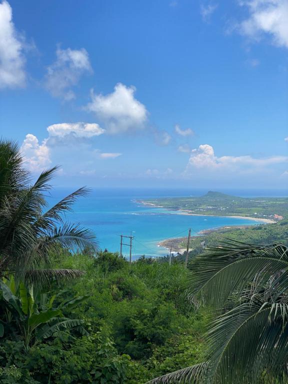 uitzicht op de oceaan vanaf een heuvel met palmbomen bij 富士A’tolan in Fushan