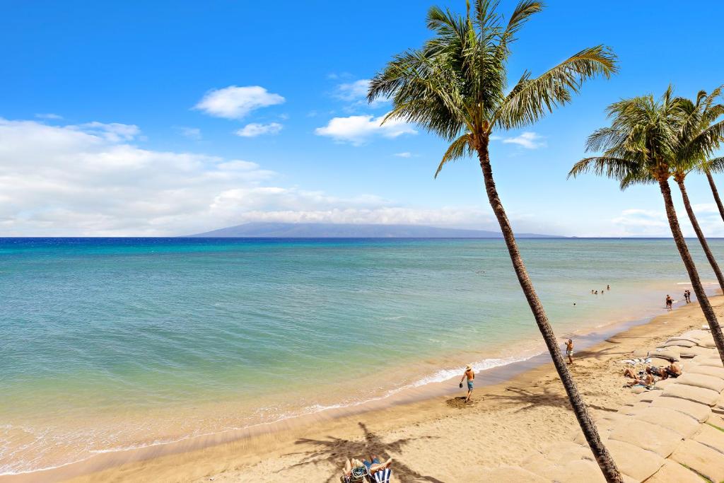 Naturlandskabet i nærheden af feriehuset