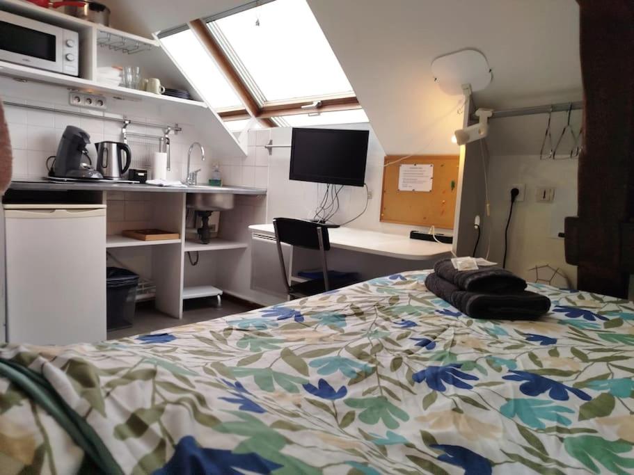 - une chambre avec un lit dans une pièce avec une cuisine dans l'établissement La studette de Vesle, à Reims